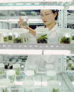 修订草案完美了次要农做物和次要林木品 