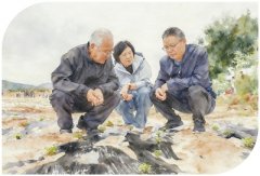 这里也是王建清搜集看法的沉 